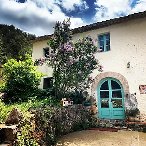 Masía Con Encanto 1.722 Mas D’en Giralt Sitges